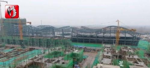 桃城区最新爆料,揭秘背后惊人真相